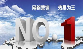 網(wǎng)絡(luò)營銷與網(wǎng)絡(luò)推廣 計(jì)算機(jī)視角下的差異解析