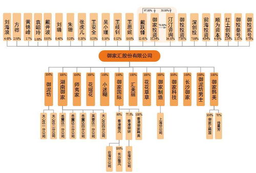 御家匯IPO周三上會 年入11億背后，面膜業務與軟件及輔助設備批發的商業邏輯